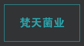 食品行業(yè)江蘇沖鋒衣設(shè)計款式